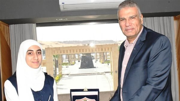 محافظ أسوان