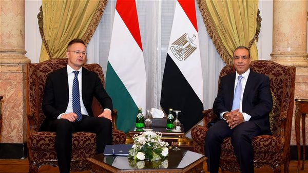 وزيرا خارجية مصر