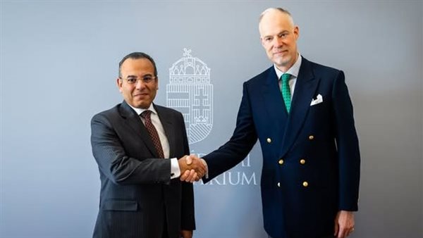 السفير أحمد فهمي