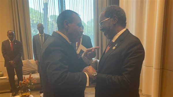 وزير الخارجية يلتقي