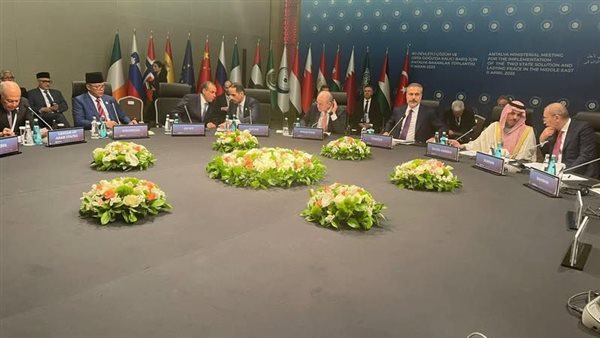 وزير الخارجية 