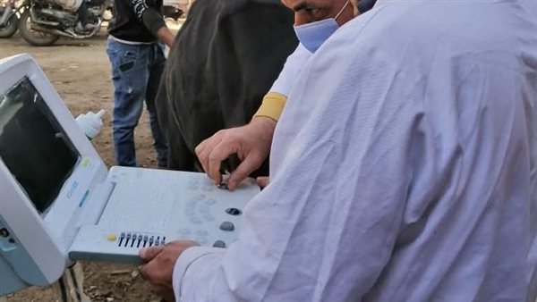 بيطري المنيا 