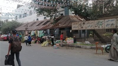 آلاف الأقباط يحتفلون بعيد أحد السعف بالفيوم