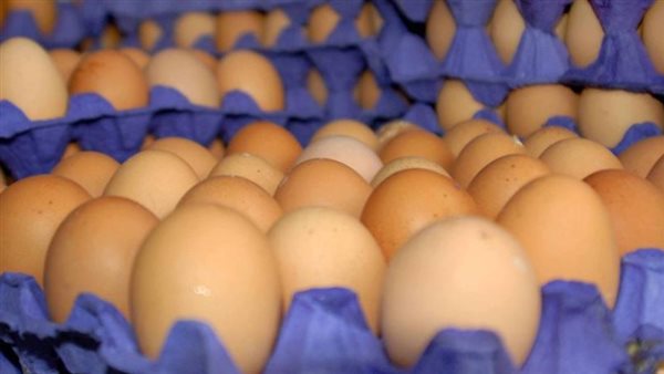 أسعار بيض المائدة