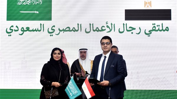 الاستثمارات السعودية