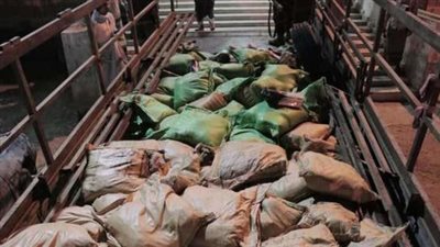  المشدد 15 عاما لصيادين لإتجارهما في المخدرات بـ شرم الشيخ