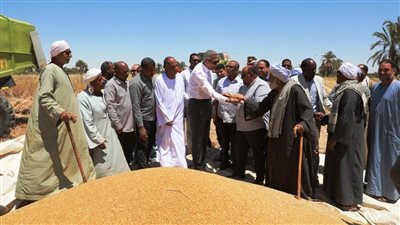 محافظ أسوان يطلق إشارة البدء لموسم حصاد القمح بمشروع وادي النقرة بنصر النوبة