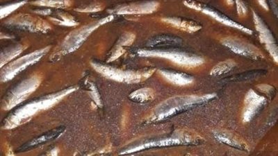 قبل شم النسيم.. ضبط 15 طن أسماك ورنجة غير صالحة للاستهلاك بالمنوفية | بث مباشر