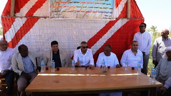 محافظ أسوان خلال