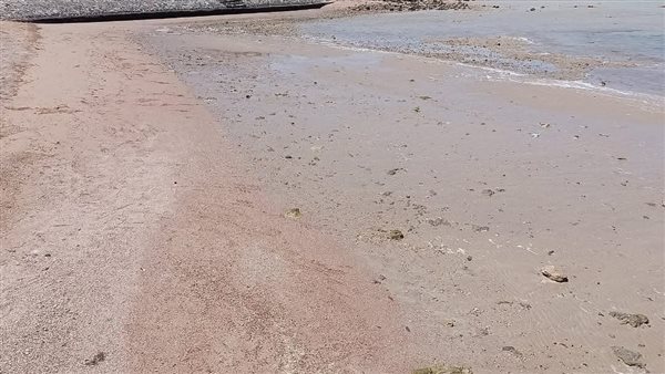 تراجع وانحسار لمياه