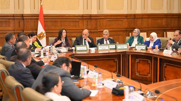 وزيرة التضامن الاجتماعي