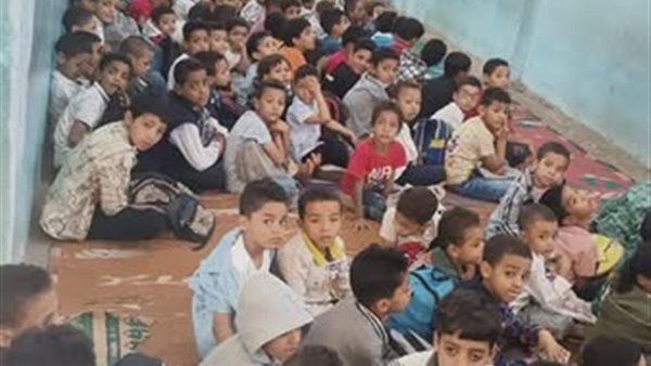  رئيس قطاع المعاهد