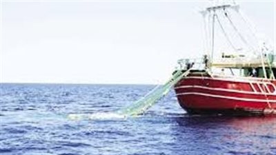 لمدة 3 شهور.. وقف الصيد في خليجي السويس والعقبة للحفاظ على المخزون السمكي| بث مباشر 