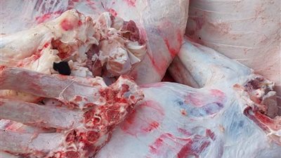 مختومة بأختام مقلدة.. ضبط 206 كيلو جرامات لحوم مذبوحة خارج السلخانة في قنا