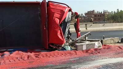 انقلاب سيارة نقل على الطريق الإقليمي قبل كارتة الصنافين اتجاه بلبيس