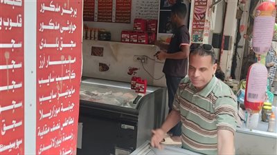 محافظ الجيزة: ضبط 3.5 طن رنجة ولحوم فاسدة قبل بيعها بأعياد شم النسيم| صور