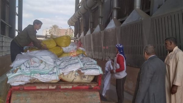 بدء موسم توريد القمح