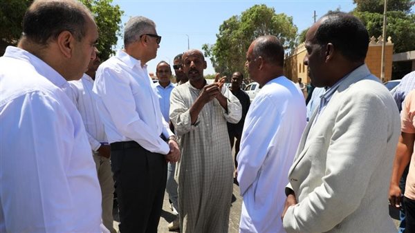 محافظ أسوان