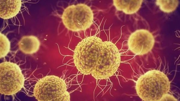  صورة تعبيرية 