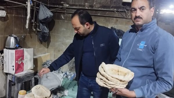 حملة تموينية علي