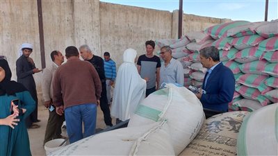 توريد القمح لشون وصوامع جنوب سيناء | صور