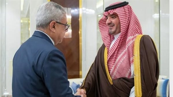 السفير المصري في