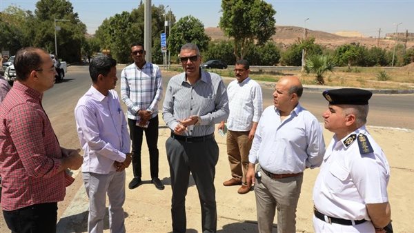 محافظ أسوان