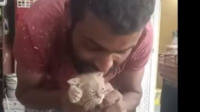 قطع أذنها.. فيديو صادم يوثق تعذيب قطة يثير الجدل على السوشيال ميديا