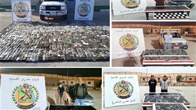 إحباط تهريب للأسلحة والذخائر والمخدرات.. قوات حرس الحدود تكثف جهودها على كافة الاتجاهات الاستراتيجية للدولة