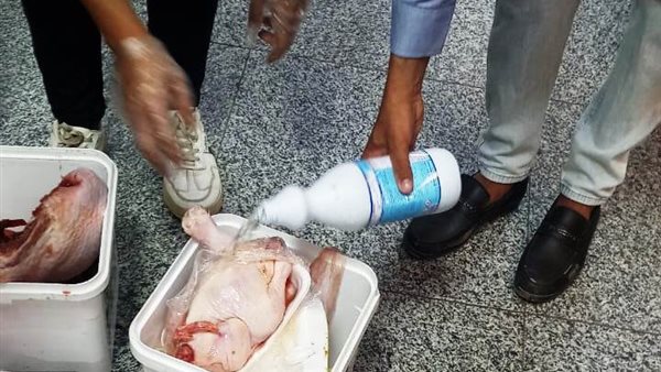 الحملة التفتيشية