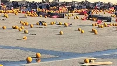 انقلاب مقطورة محملة بأطنان من البرتقال على طريق الإسماعيلية القاهرة | صور