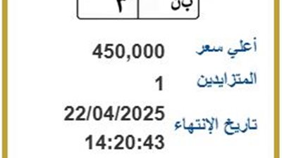 ب ن 3.. لوحة مرور مميزة بسعر 450 ألف جنيه