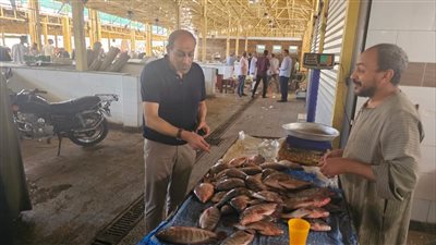 ضبط 50 كيلو فسيخ فاسد خلال حملة رقابية في الأقصر| صور