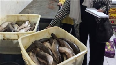 تموين الجيزة تضبط 1.3 طن فسيخ ورنجة فاسدة.. وتحرر 79 محضرًا| صور