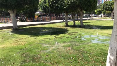 محافظ أسوان: رفع درجة الاستعداد القصوى لتأمين احتفالات أعياد الربيع وشم النسيم