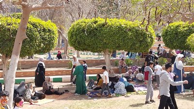 إقبال كبير من المواطنين على حديقة شجرة الدر بالمنصورة | صور