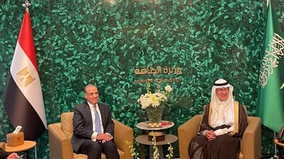 وزير الخارجية يؤكد استعداد مصر للدخول كشريك استراتيجي مع السعودية بمشروعات الطاقة الخضراء 