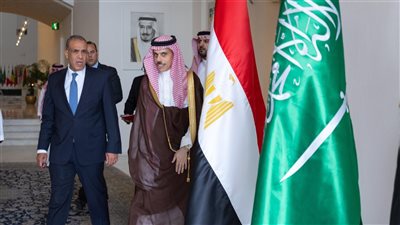 بيان مصري سعودي مشترك: تدشين مجلس أعلى للتنسيق بين البلدين.. ورفض قاطع لتهجير الفلسطينيين