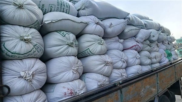 موسم توريد القمح