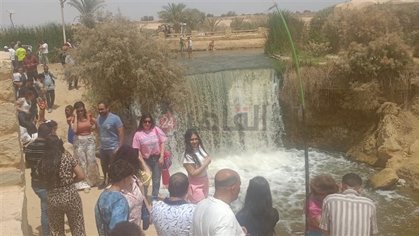 محميه وادي الريان