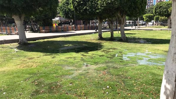 المتنزهات بأسوان