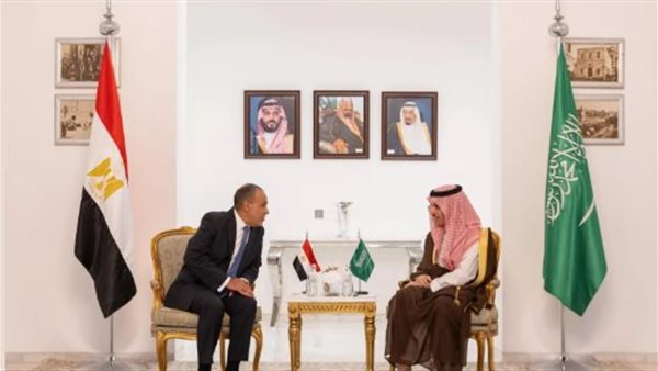 وزير الخارجية ونظيره