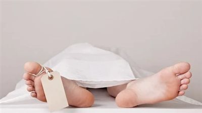 مصرع شاب بعد تعرضه للدغ النحل في المنيا.. والتقرير الطبي يكشف السبب