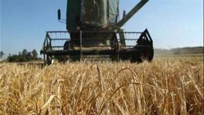 تفاصيل مصرع عامل زراعي إثر سقوطه داخل ماكينة حصاد الفول بالبحيرة | بث مباشر