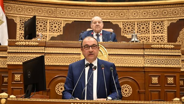 وزير قطاع الأعمال