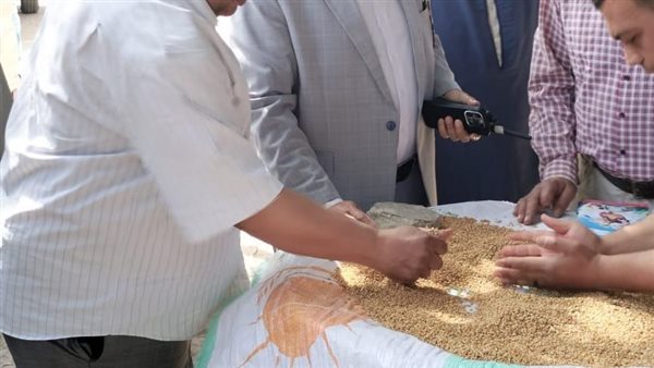 توريد القمح بالدقهلية