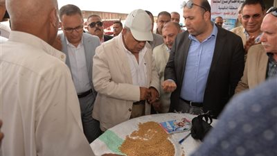 محافظ الدقهلية خلال تفقده مركز تجميع القمح بالسنبلاوين: أنا مش بتاع كلمات رنانة.. أنا بتاع شغل وأفعال