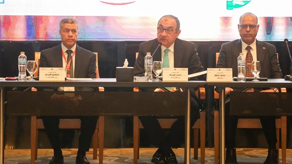 وزير قطاع الأعمال