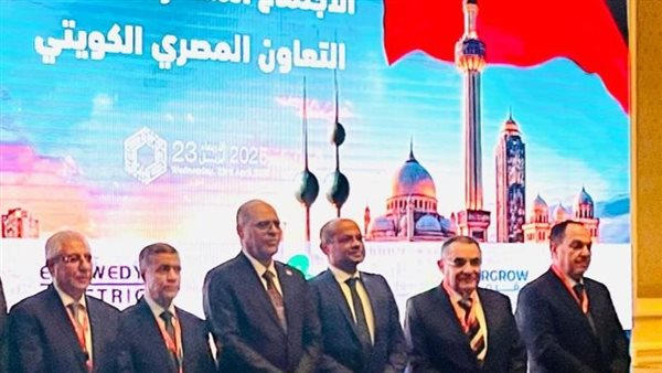 رئيس البورصة المصرية