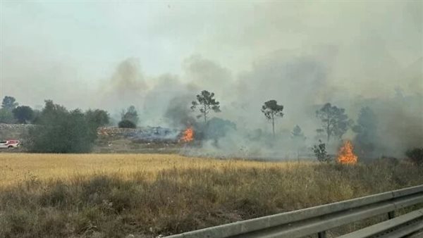 حرائق إسرائيل